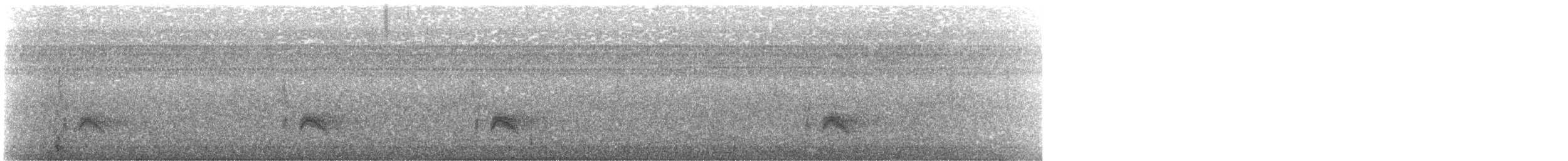 Серогрудый тиранн - ML64635981