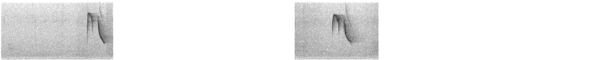 Carbonero Palustre - ML646359915