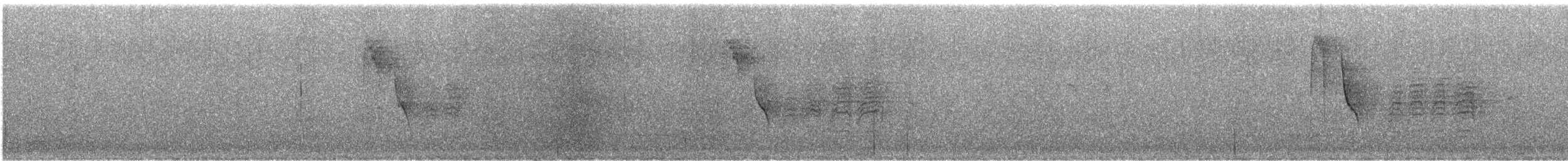 Carbonero Palustre - ML646359916