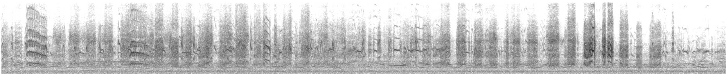 Крячок карибський - ML646360404