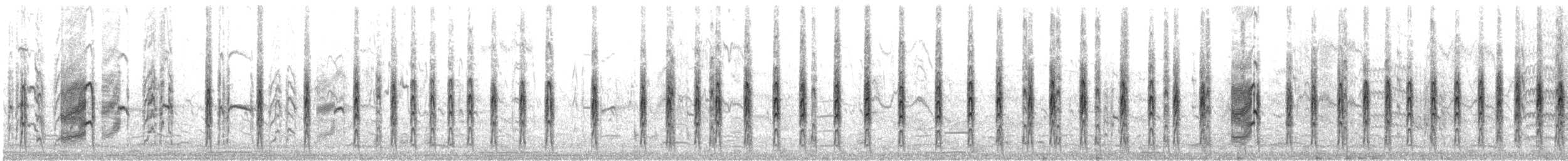 Крячок карибський - ML646360411