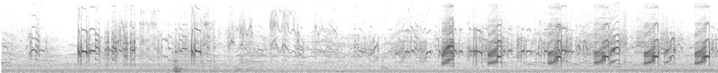 Крячок карибський - ML646360412