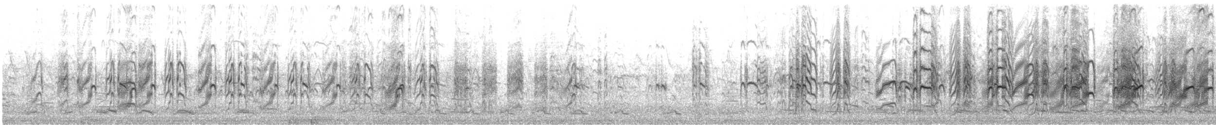 Крячок карибський - ML646360413