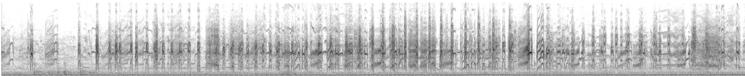 Крячок карибський - ML646360414