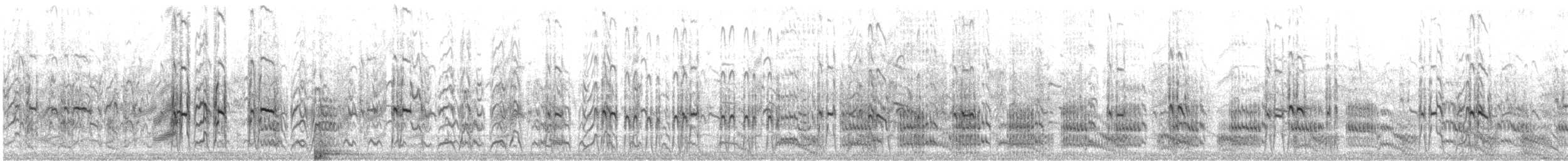 Крячок карибський - ML646360415