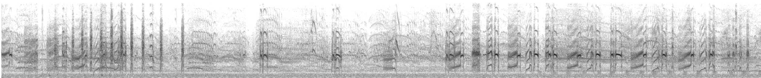 Крячок карибський - ML646360416