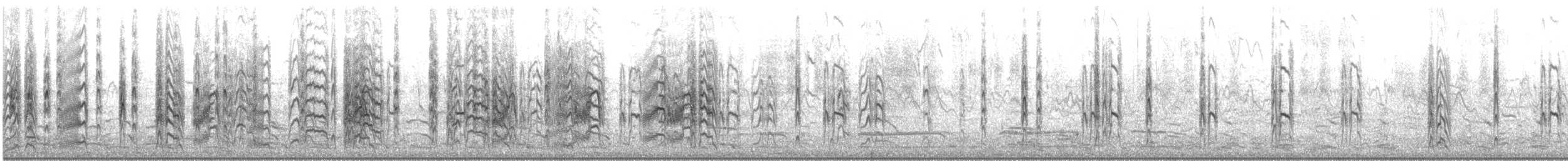 Крячок карибський - ML646360417