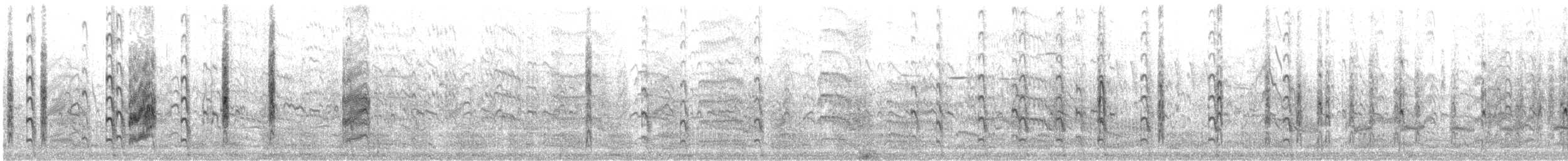 Крячок карибський - ML646360418