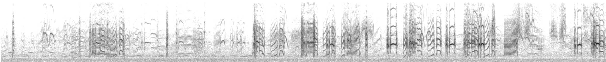 Крячок карибський - ML646360419