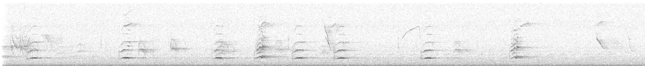 Tucán Pechiblanco - ML646360473