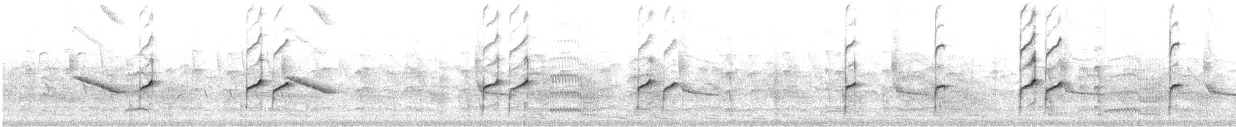 Набережник плямистий - ML646361070