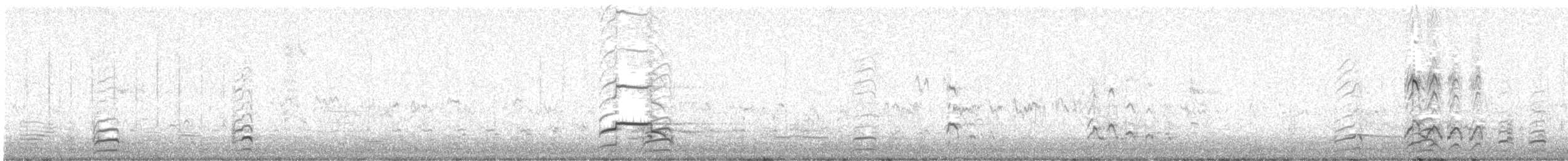 břehouš velký - ML646361177