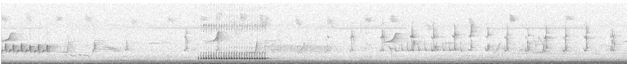 Australian Magpie (Black-backed) - ML646361671