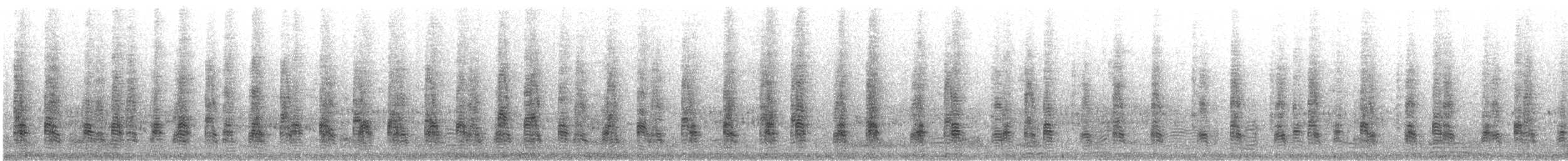 Beltzaran arrunta - ML646361696