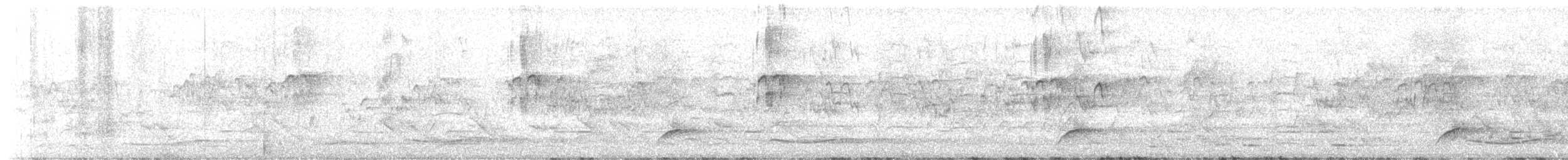 Olive Long-tailed Cuckoo - ML646361833