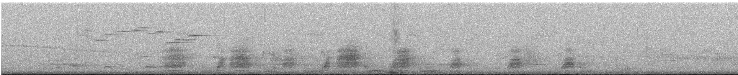 Spangled Drongo (Spangled) - ML646361966