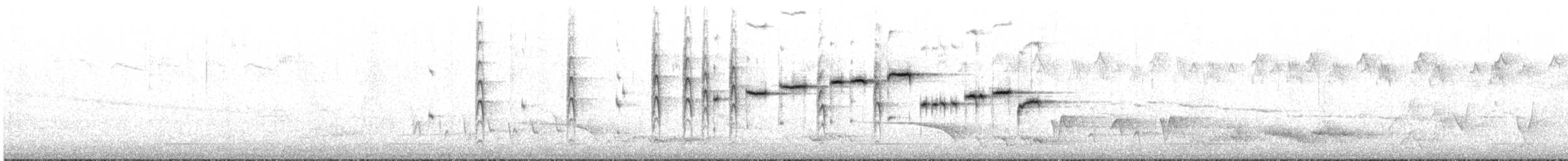 Gray Fantail - ML646361971