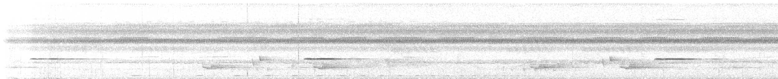 Матинера широкоброва - ML646362094