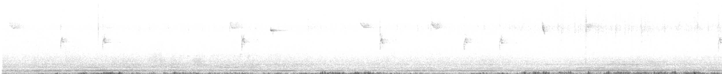 White-throated Sparrow - ML646362449