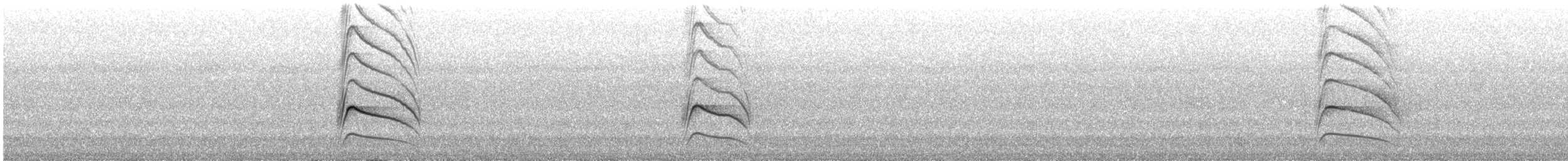 Great Kiskadee - ML646362487