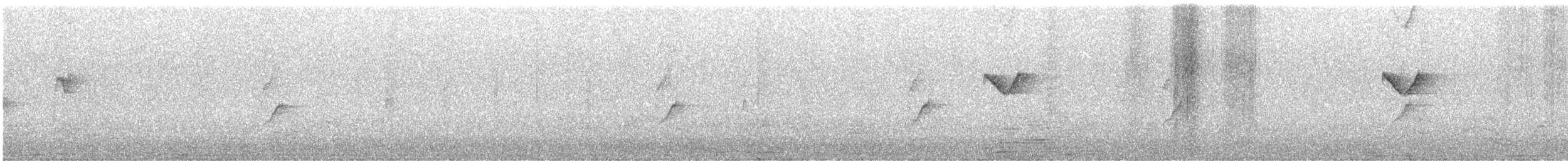 Yellow-browed Warbler - ML646363614