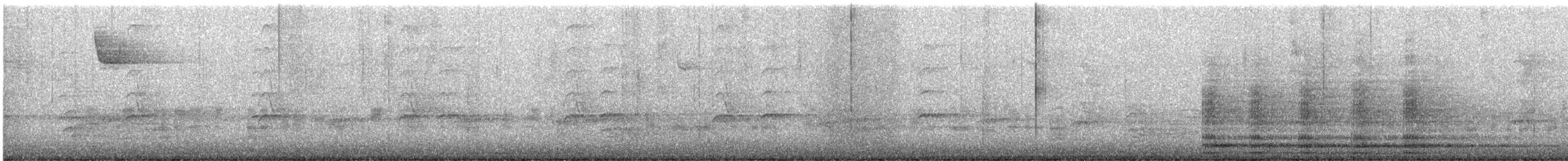 Common Raven - ML646363620