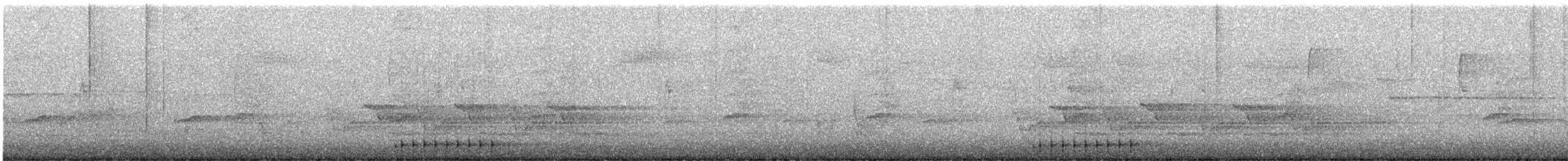 Common Raven - ML646363783