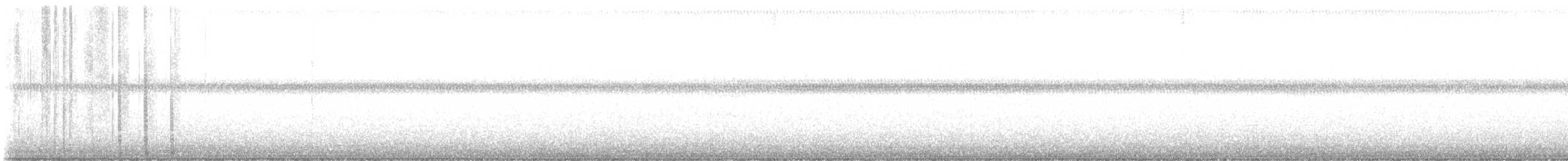 American Wigeon - ML646363934