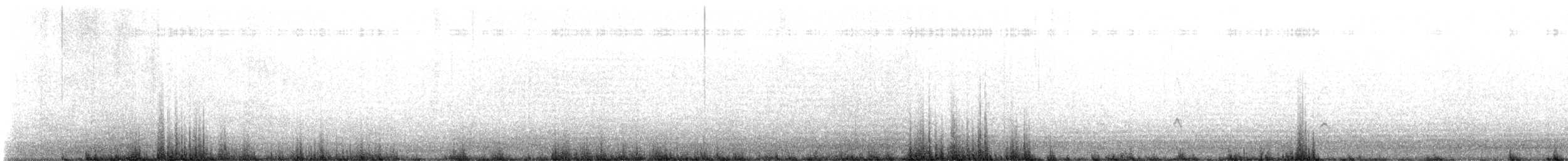 American Oystercatcher - ML646364231