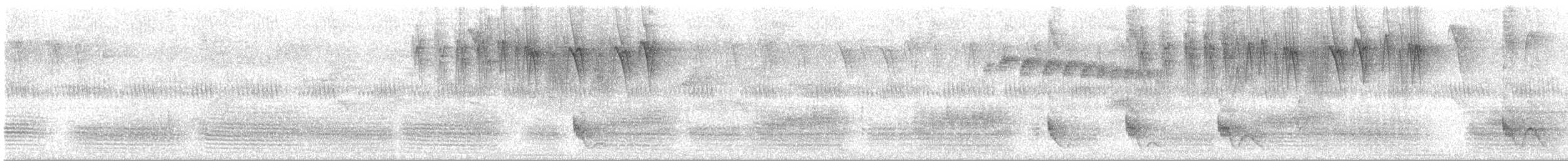 Swallow-tailed Manakin - ML646364300