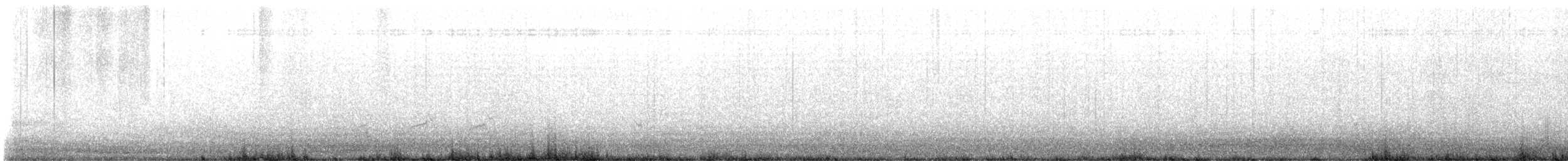 Semipalmated Plover - ML646364353