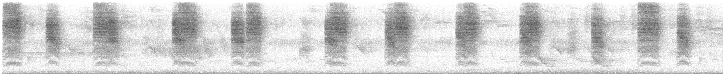 Southern House Wren - ML646364449