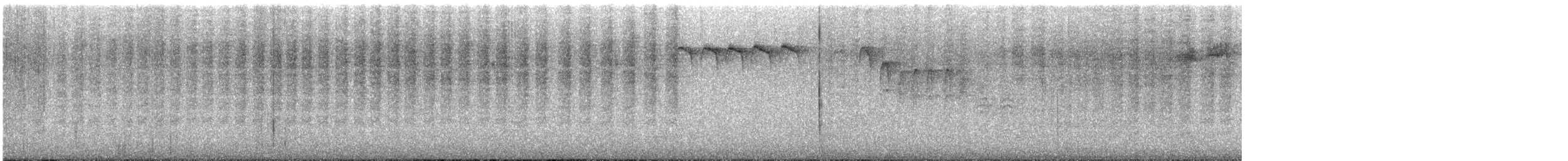 Carolina Wren - ML646364463