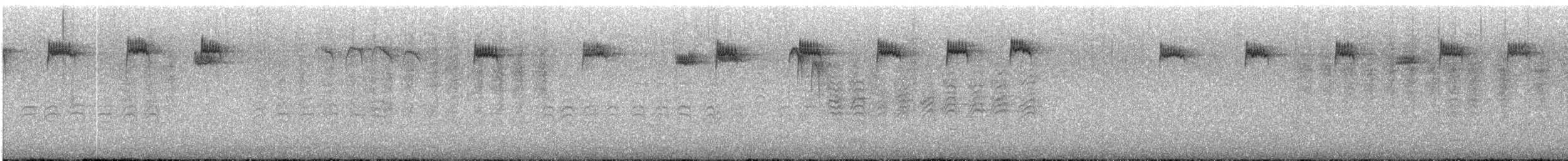 Erregetxo amerikarra - ML646364473