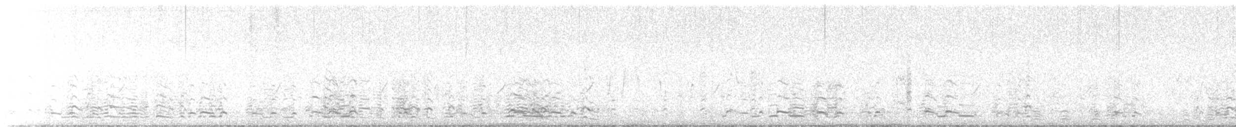 白額雁 - ML646364518