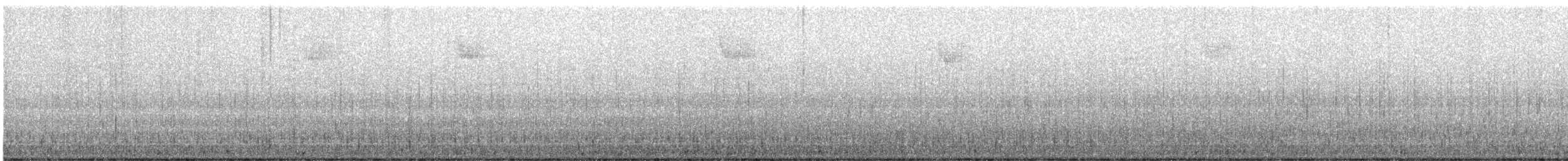 Amerika Dikkuyruğu - ML646364970