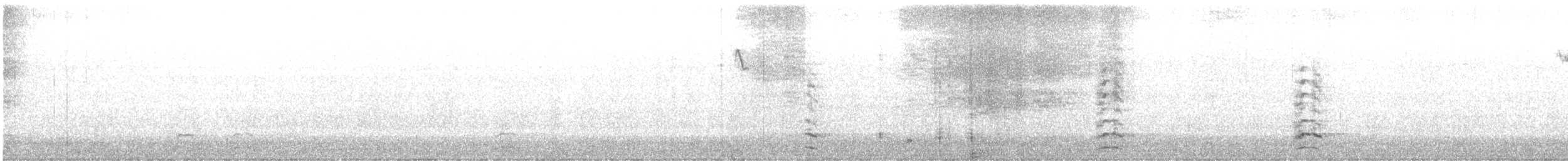 Snow Goose - ML646365356