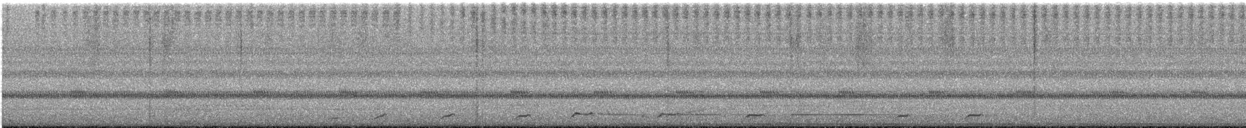 Common Pauraque - ML646365862