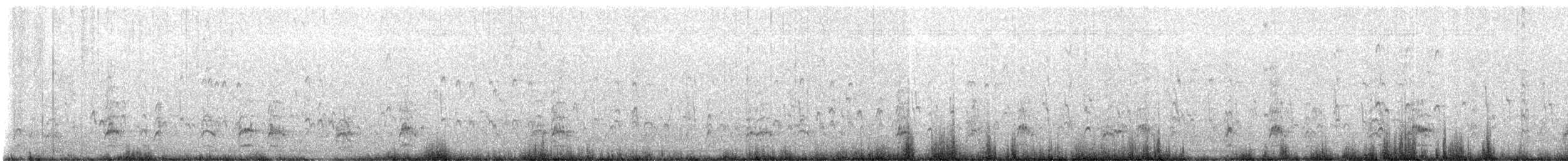 Black-necked Stilt - ML646365960