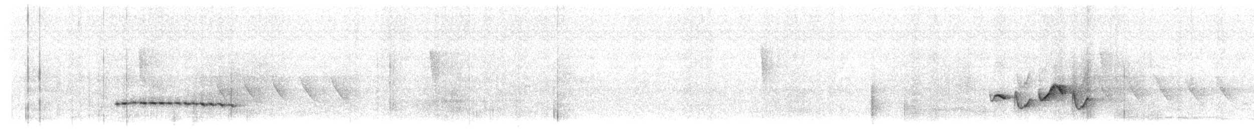 Jamaican Vireo - ML646366030