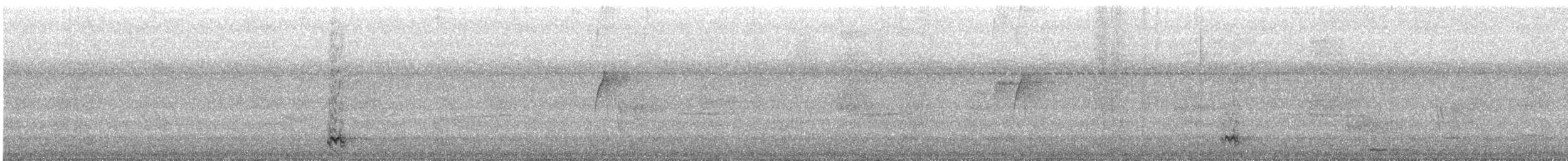 Russet-backed Oropendola - ML646366384