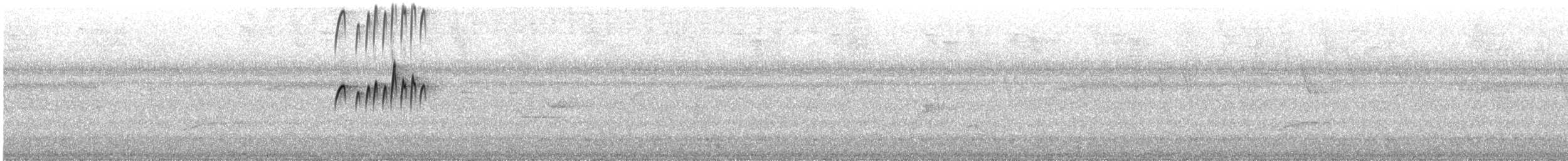 Tropical Kingbird - ML646366449