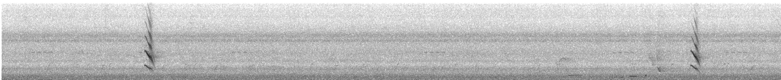 Violaceous Jay - ML646366452