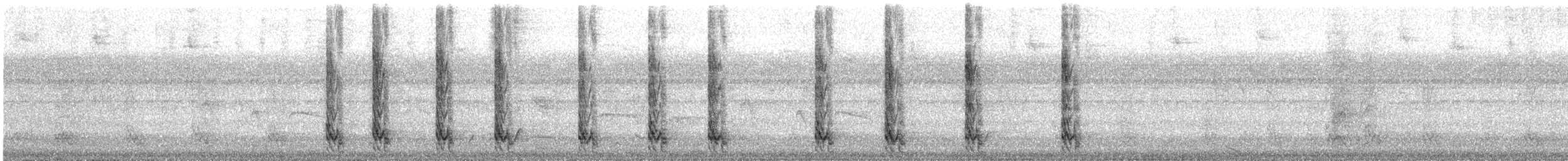 Russet-backed Oropendola - ML646366512