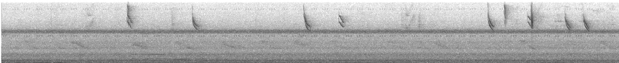 bird sp. - ML646366531