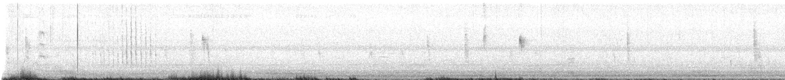 Belted Kingfisher - ML646366551