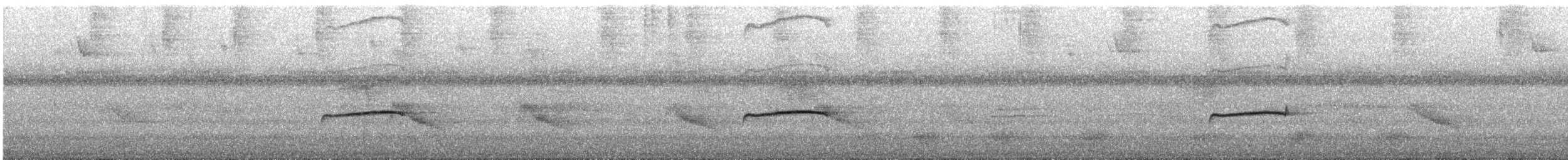 Western/Eastern Wood-Pewee - ML646366554