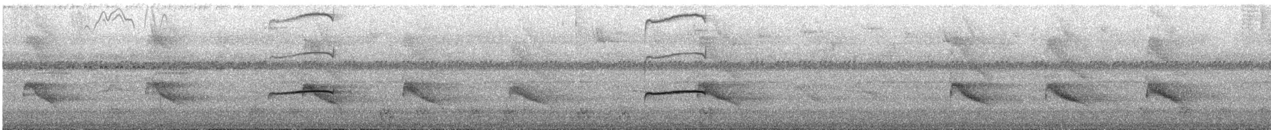 Western/Eastern Wood-Pewee - ML646366555