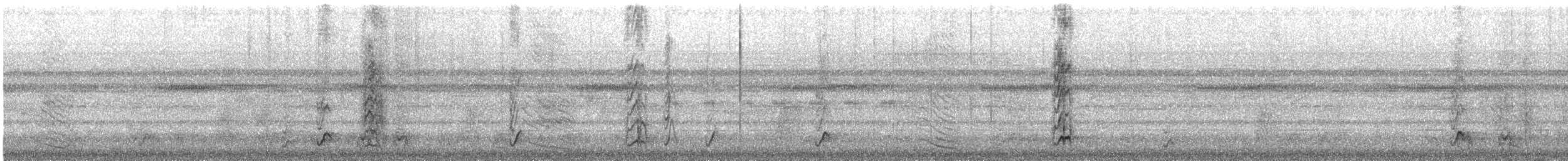 Russet-backed Oropendola - ML646366574