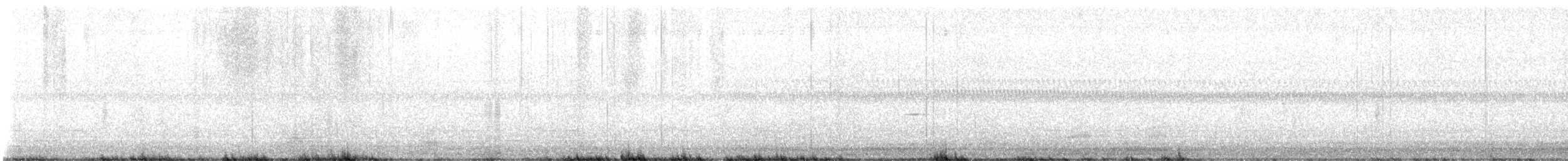 Clapper Rail - ML646366581